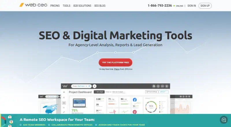 WebCEO's own site