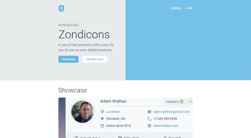 Zondicons's own site